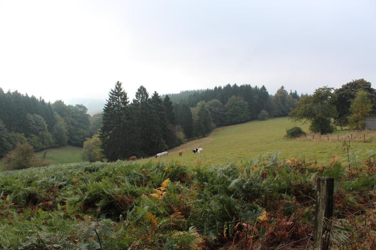 Ardennature Vakantiehuizen Met Prive-Sauna La-Roche-en-Ardenne Eksteriør billede