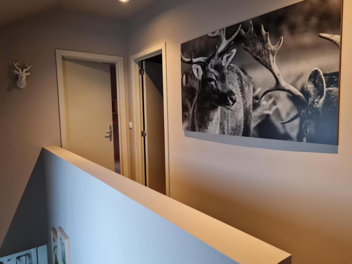 Ardennature Vakantiehuizen Met Prive-Sauna La-Roche-en-Ardenne Eksteriør billede